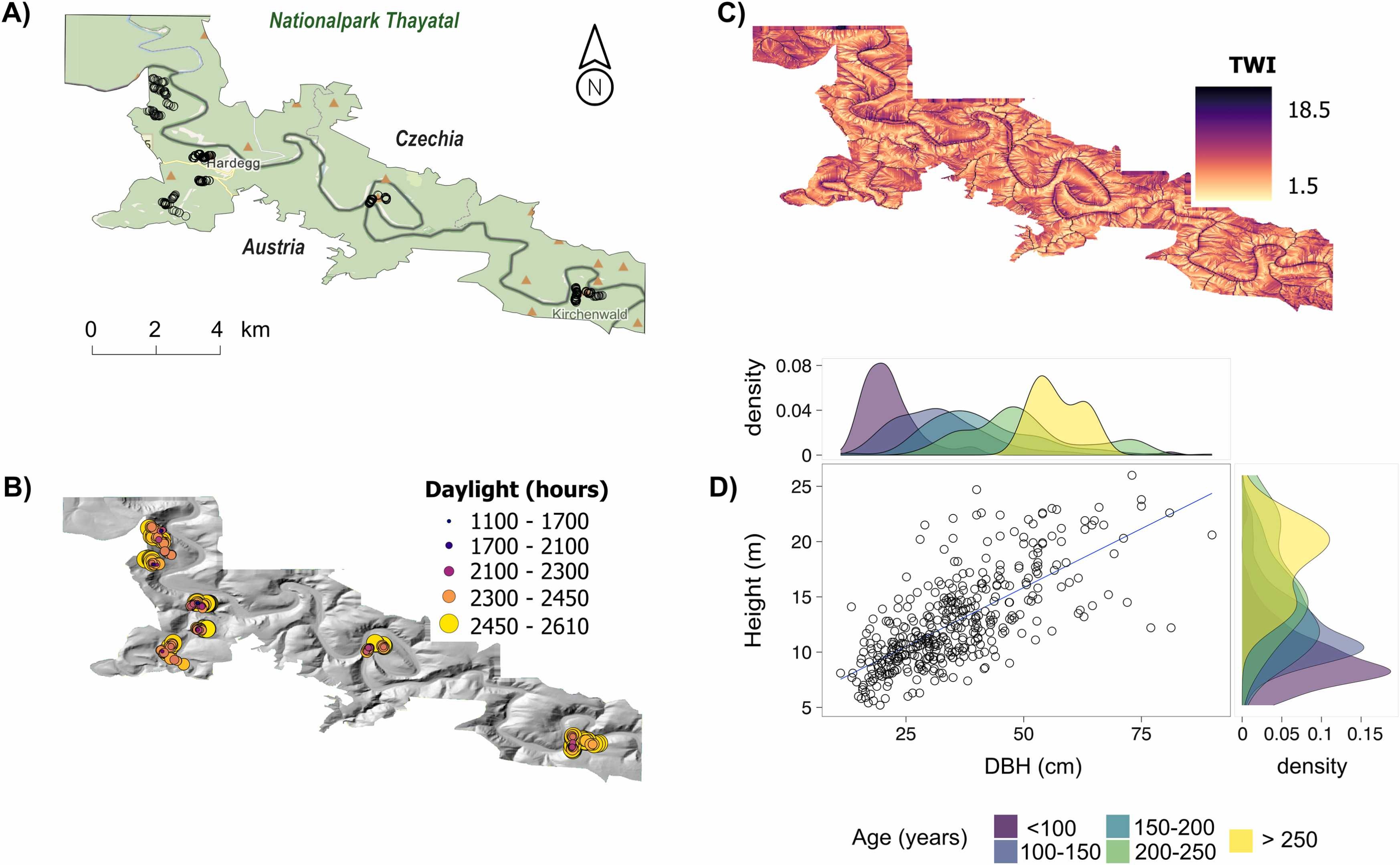 Topographic wetness index from DEM