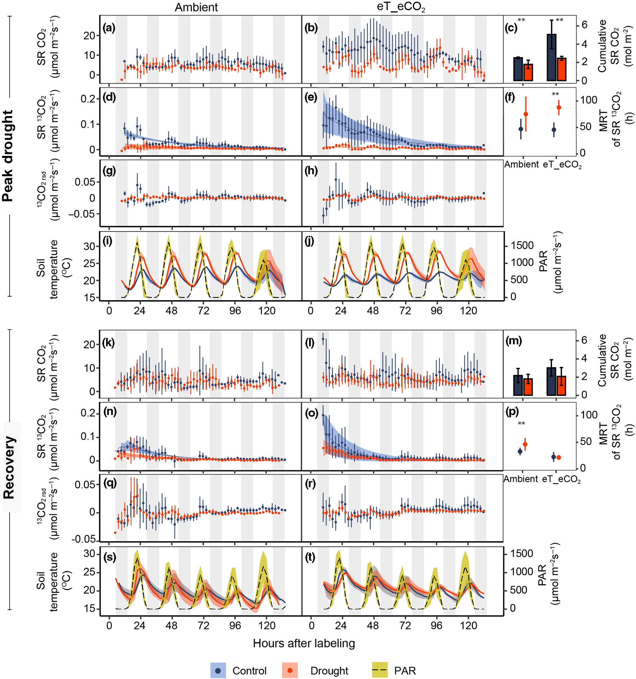 Soil respiration time series
