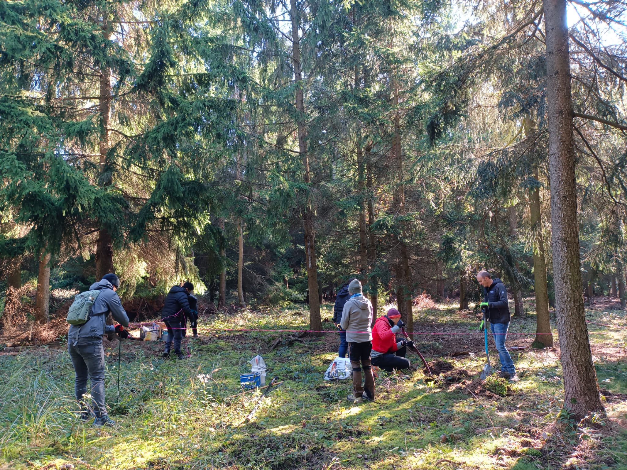 Forest soil and plant sampling