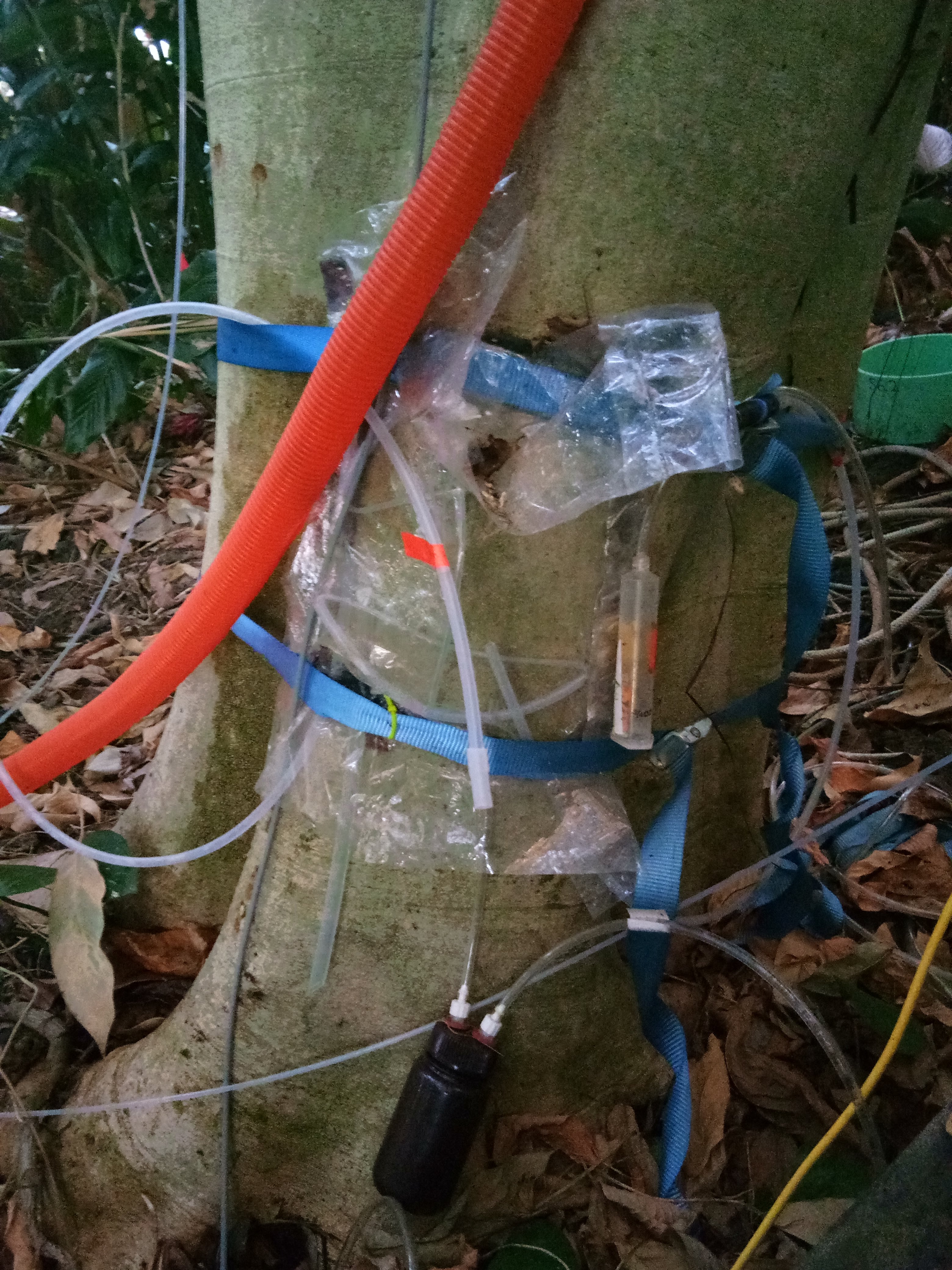 Stem CO2 flux chamber