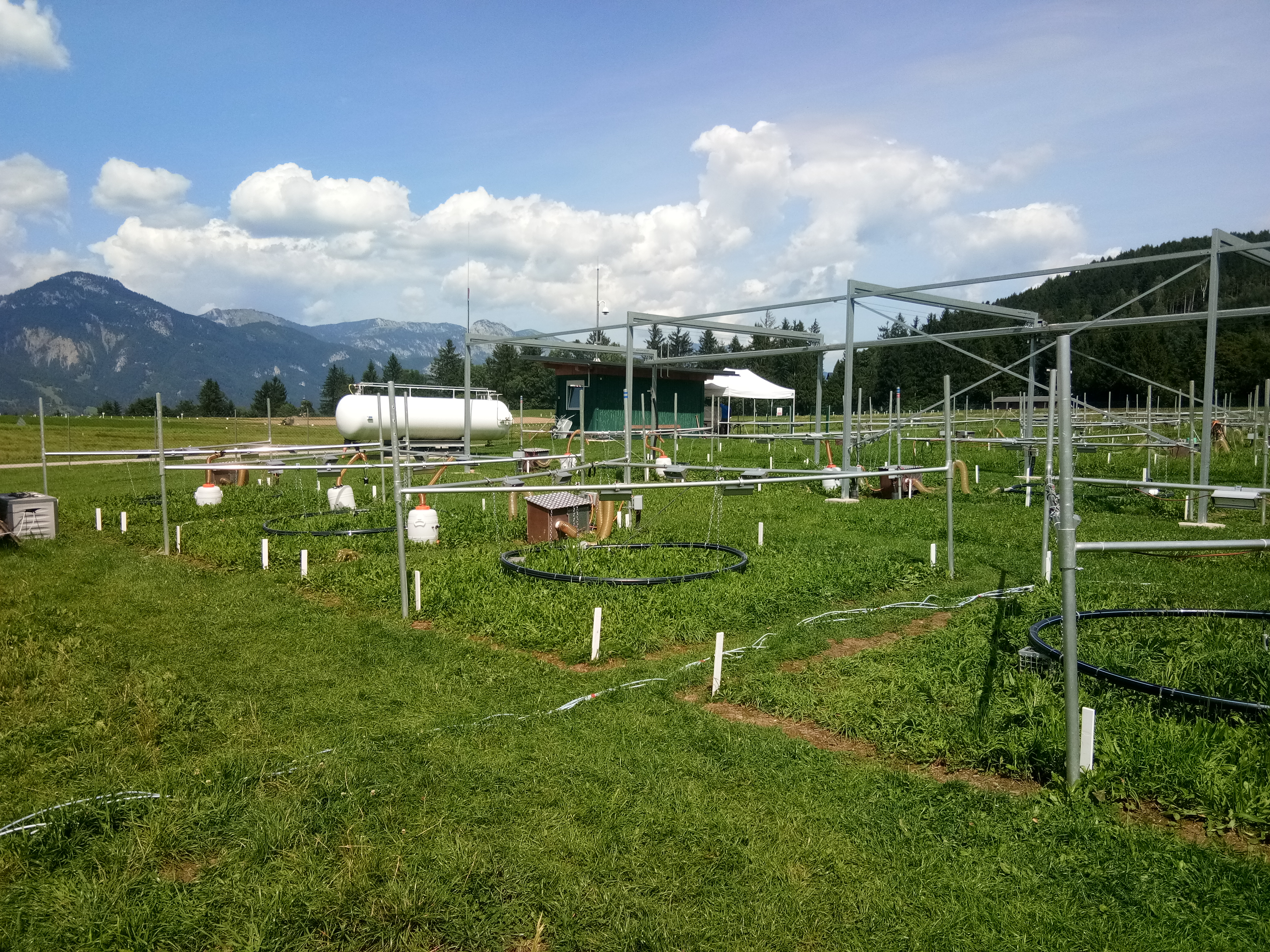 Warming and elevated CO2 plots at ClimGrass