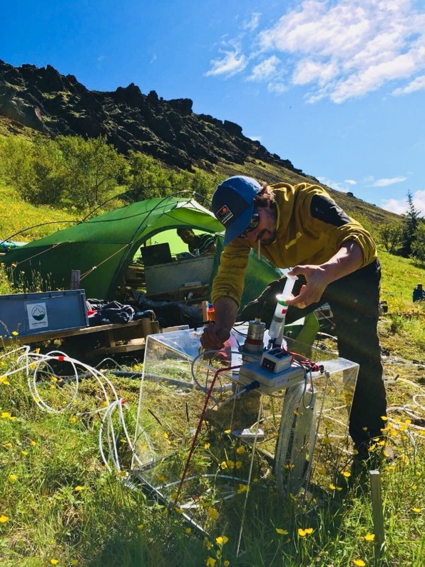 13CO2 pulse labelling of grassland