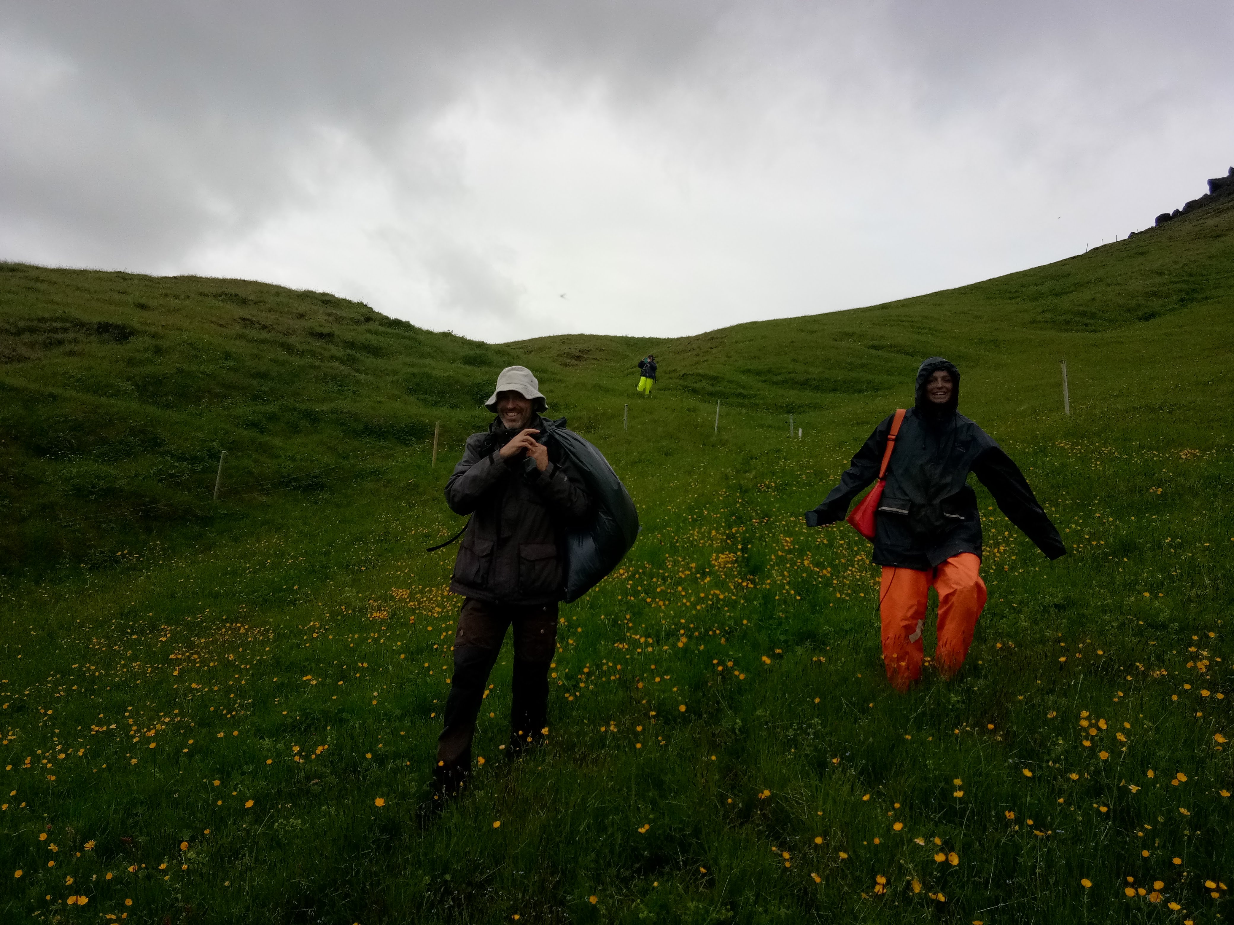 Field sampling with collaborators