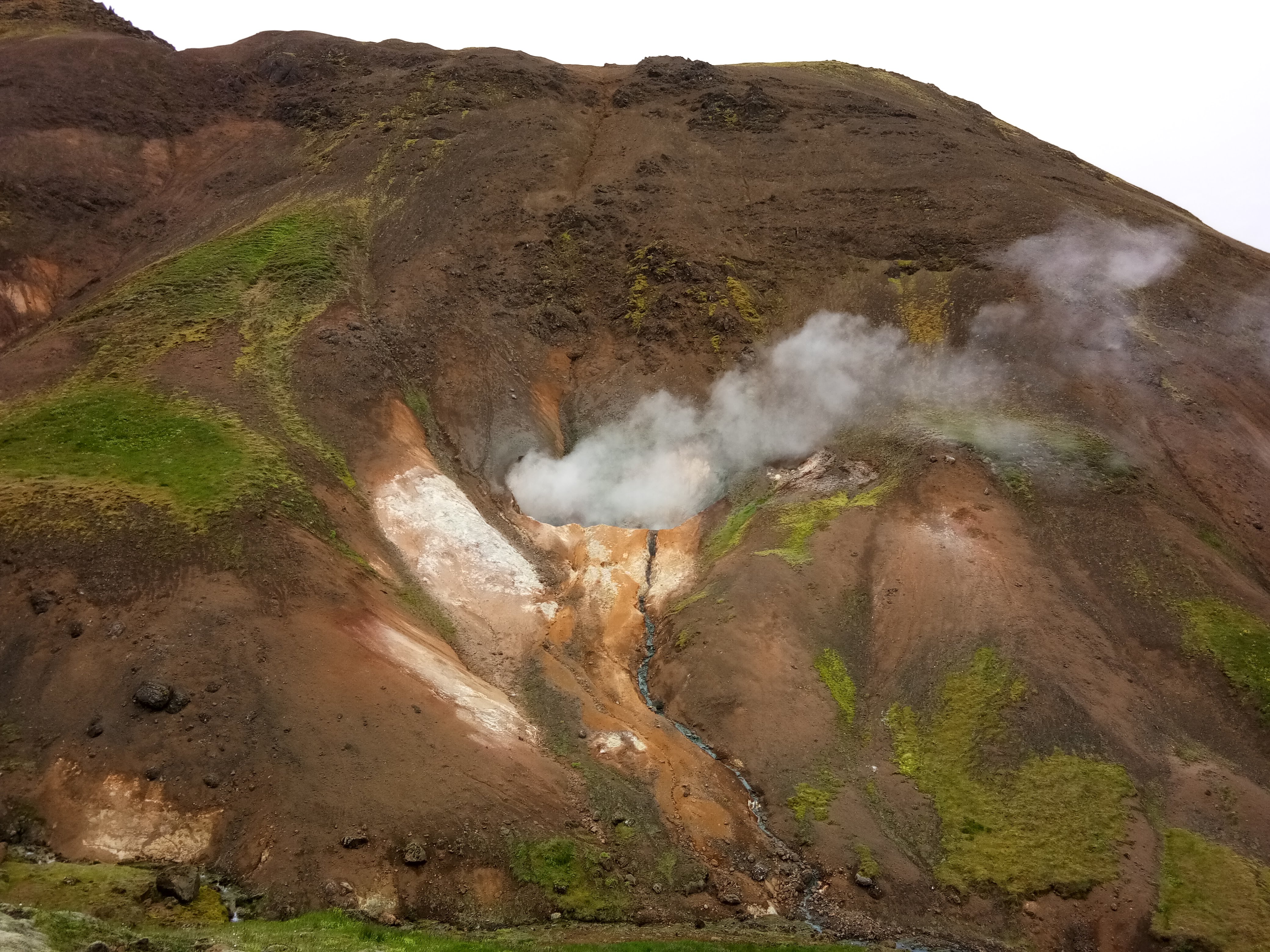 Geothermal vent at the subarctic site
