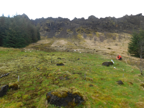 Geothermal warming gradients in Iceland
