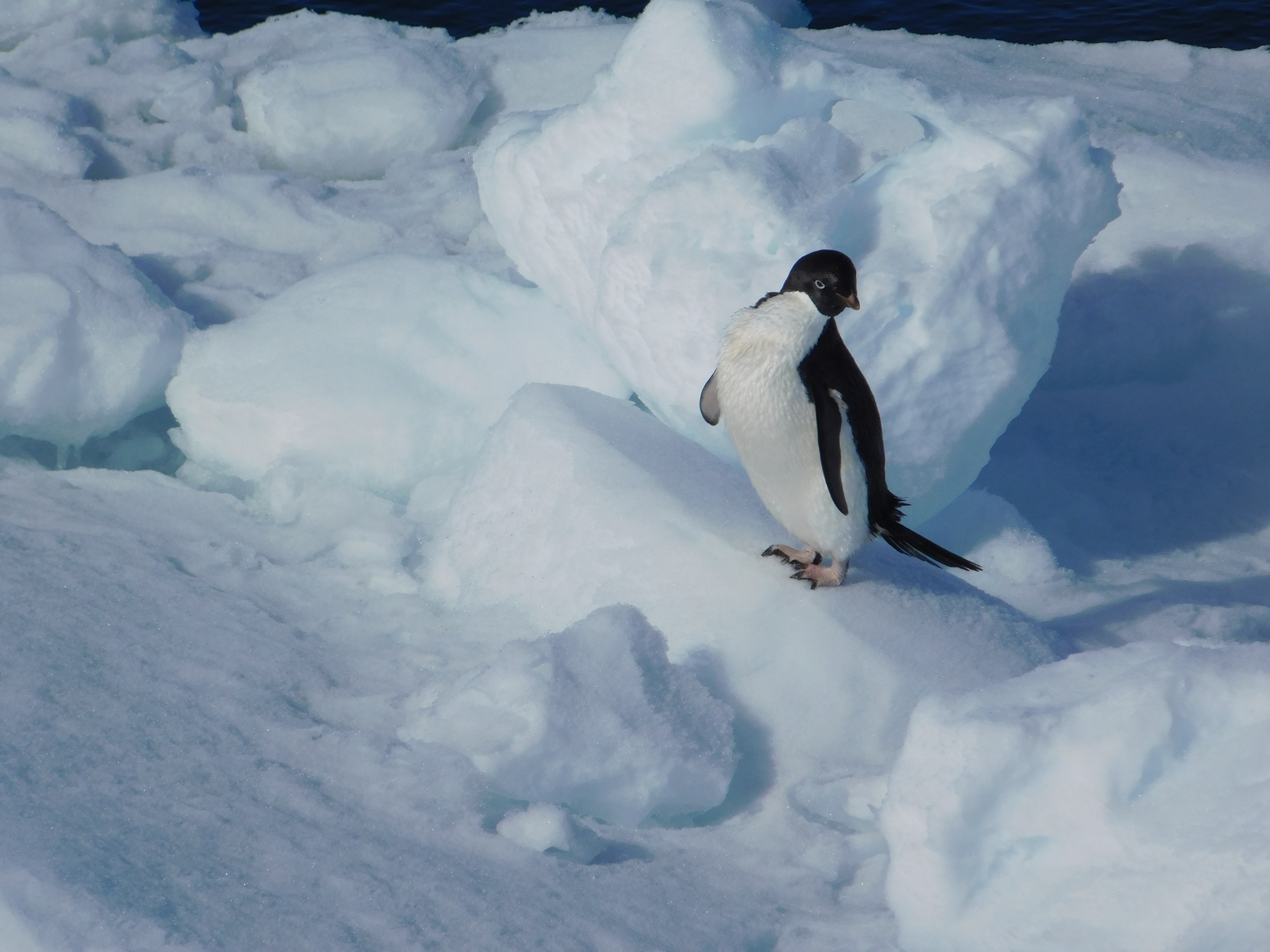Deck work in Southern Ocean