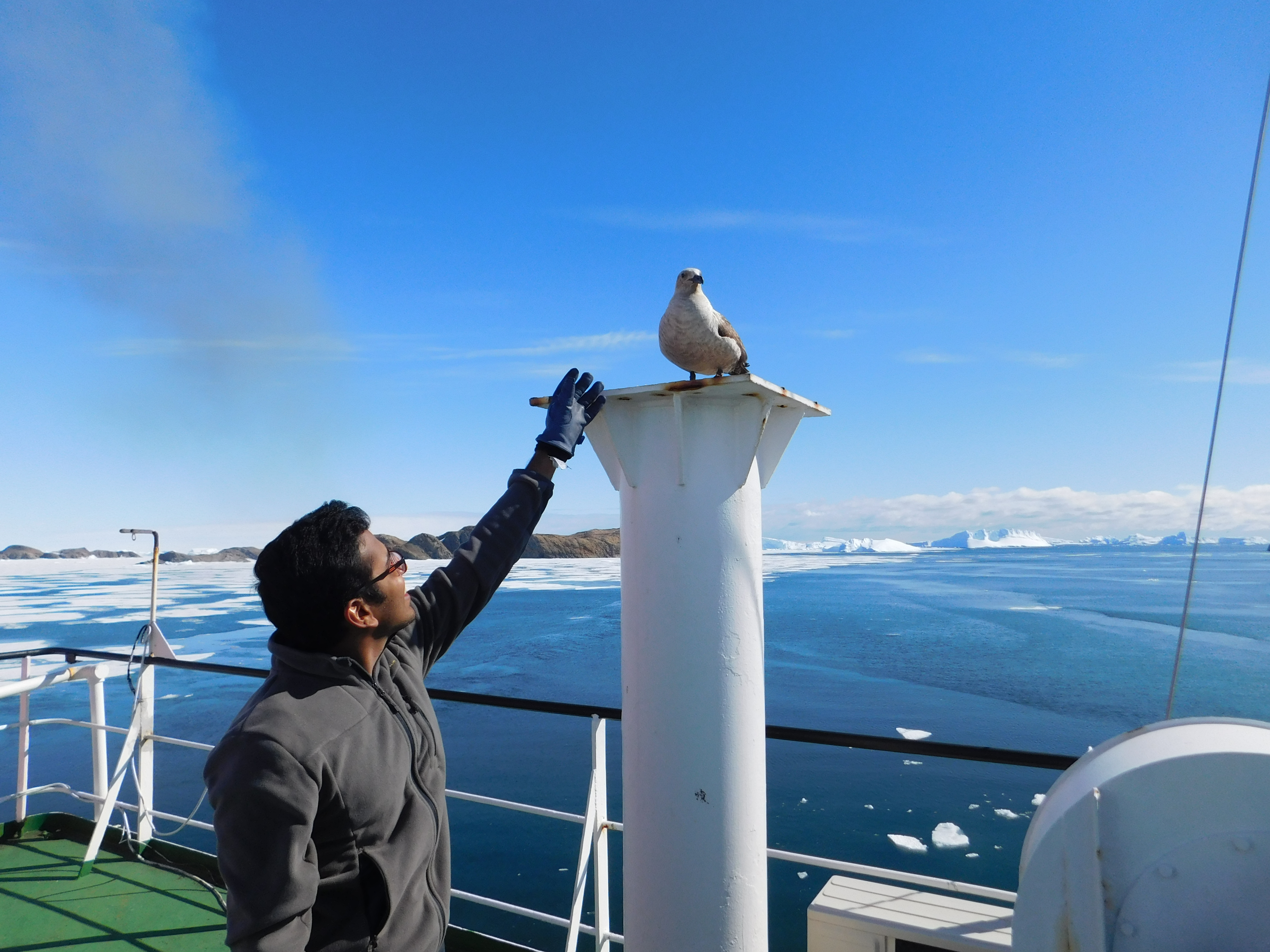 Trying to sample every biology — Southern Ocean (funny)